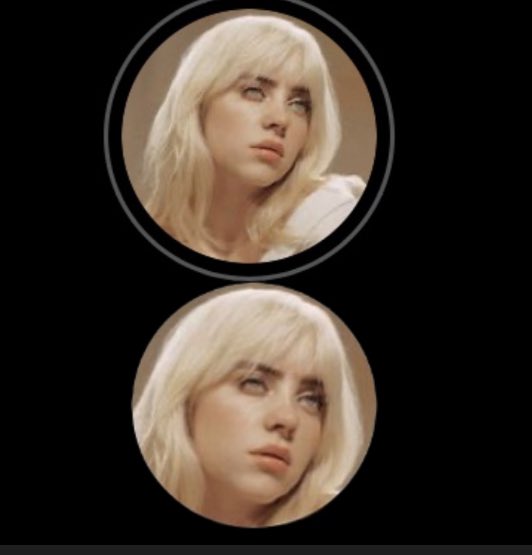 bilsirlgf's tweet image. us trying to find a difference between these two pfps like :