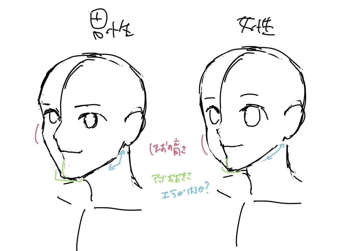 男女描き分けメモ! 