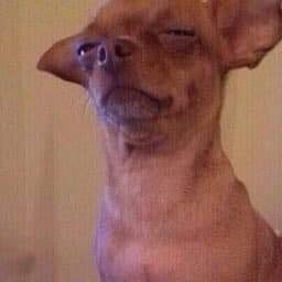 ลูกสลิ่มเดบิ้วเป็นไอดอล คนไทยเดบิ้วเป็นซาแซง มาดูกันค่ะว่าวงไหนจะปังกว่ากัน 
เริ่มเลอ #แบนSITALA #BANH1KEY