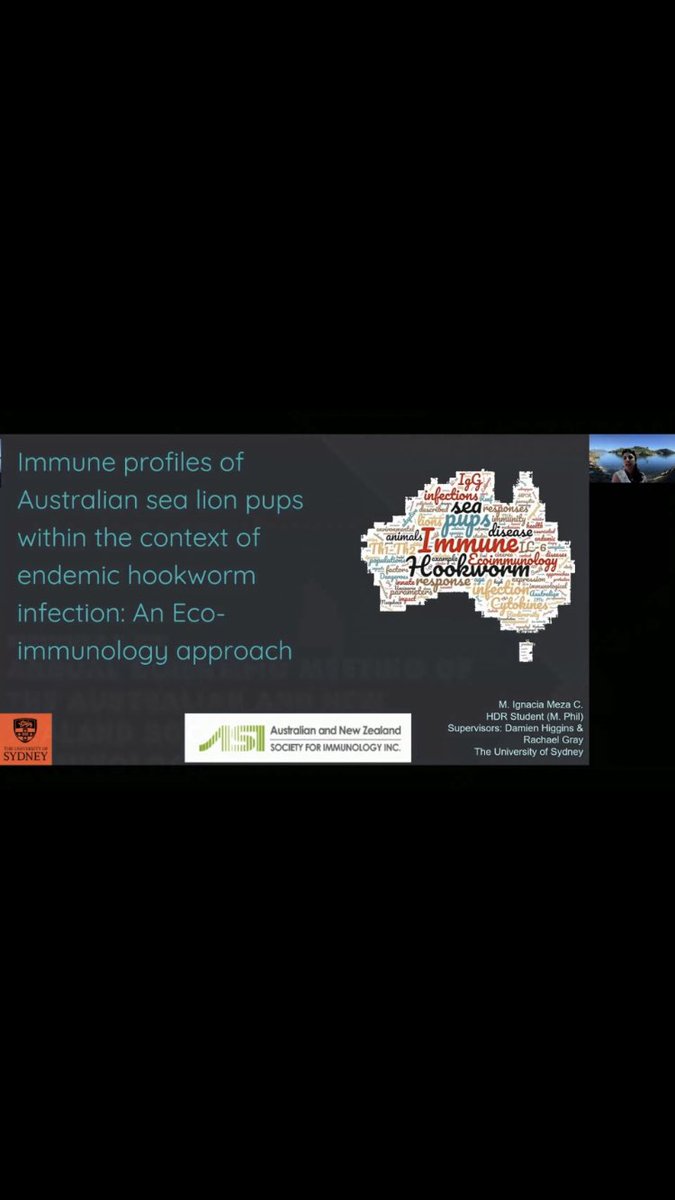 _sdart's tweet photo. Loved taking a break from my usual field to join the #WildImmunology session at #ASI2021Online -learnt lots about the #Immune #Diversity of animals incl. bats, sea lions, abalone, opossum & devils thanks to speakers: @MarcinWegrecki @JacintaAgius @Marine_Ignacia Josh & Ruth https://t.co/MEBlyUYFug
