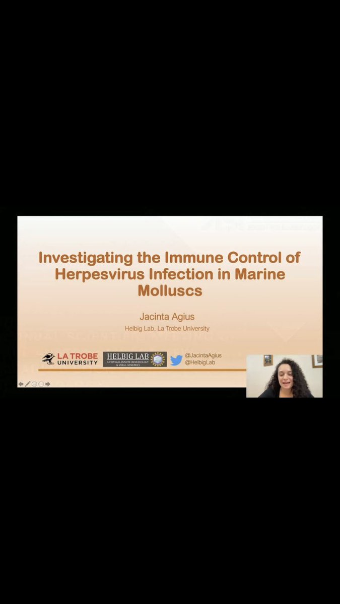 _sdart's tweet photo. Loved taking a break from my usual field to join the #WildImmunology session at #ASI2021Online -learnt lots about the #Immune #Diversity of animals incl. bats, sea lions, abalone, opossum & devils thanks to speakers: @MarcinWegrecki @JacintaAgius @Marine_Ignacia Josh & Ruth https://t.co/MEBlyUYFug