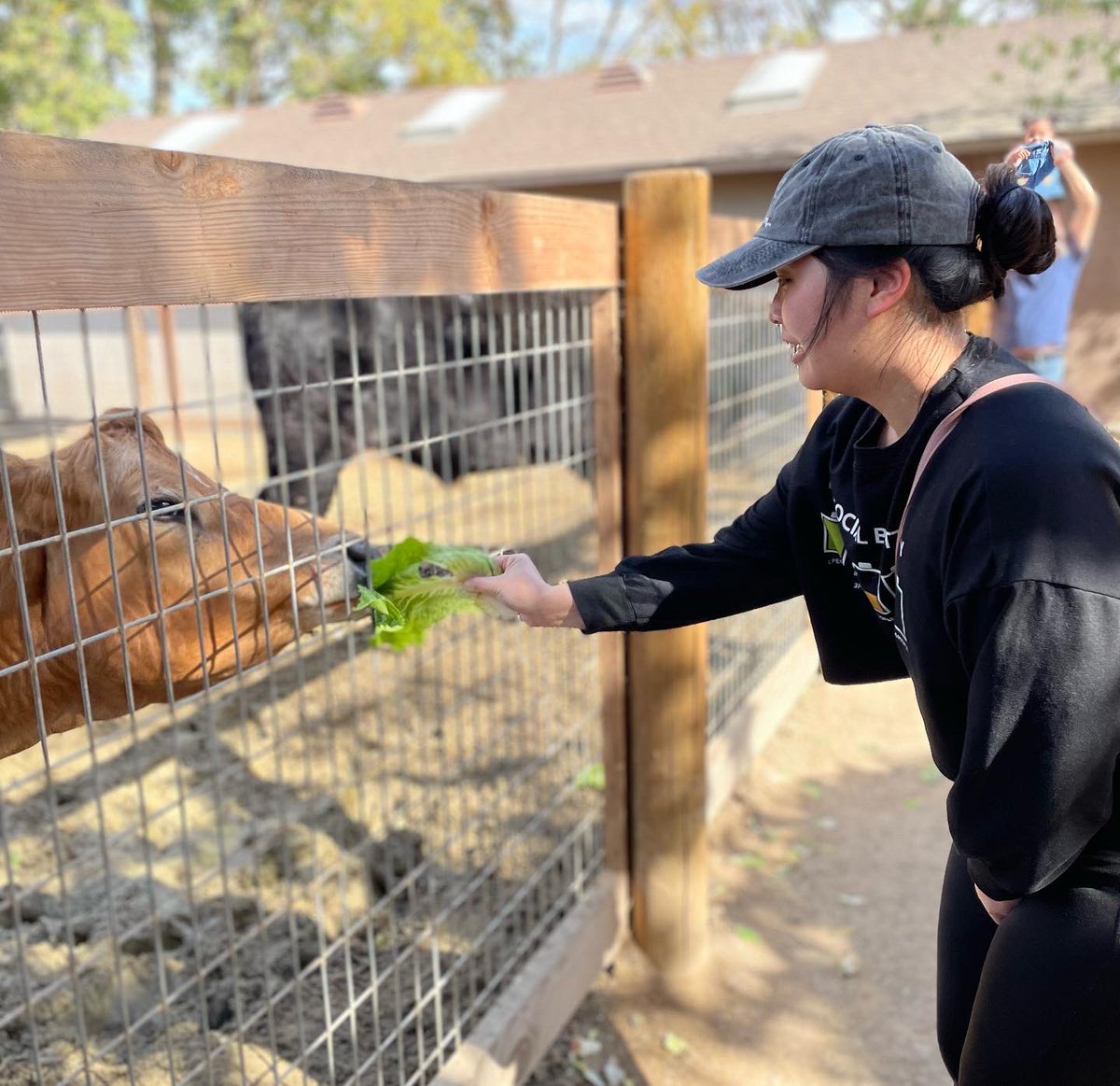 Games_N_Wanders's tweet photo. I love animals just in case you haven't noticed!
#playforgains #gamesnwanders #Travala #farmlife #avilafarm #animallovers #feelgood #feelsgoodtoshare #FeelingMyself #getaway https://t.co/fczrcFKgSv