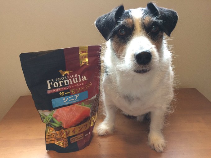 春夏秋冬おさんぽシリーズ Ｅ プロステージドックフード ルシアン