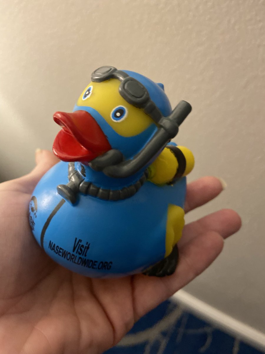 #scuba #scubadiving #scubaduck #Ducks #fun