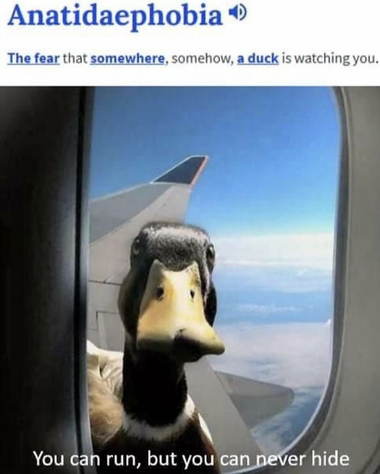 quacksmokers's tweet photo. We aint going anywhere dont count us out. https://t.co/M89tLekZJS
