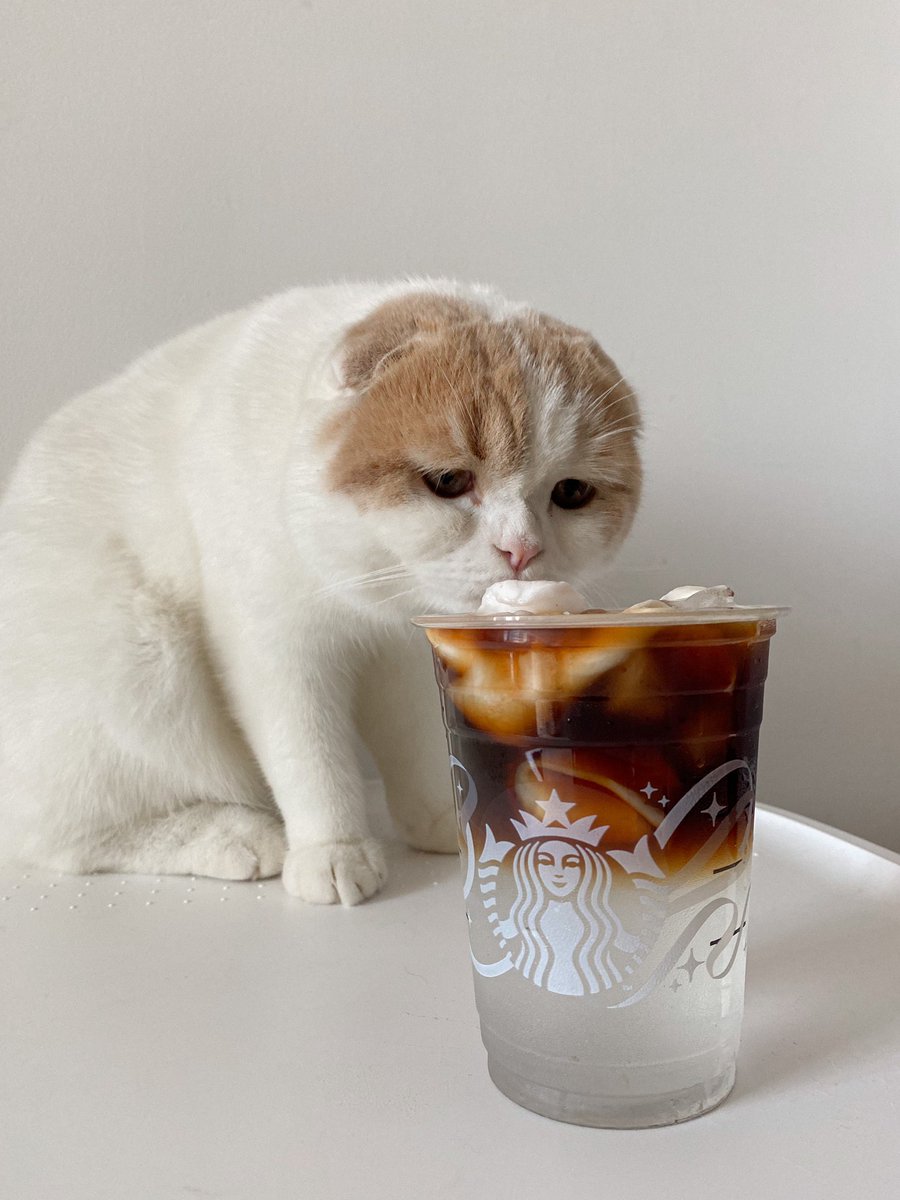 toastderr_'s tweet photo. โฮมคาเฟ่ อเมริกาโน่ โคโค่นัด ☕️🥥 https://t.co/4fPc1XYa5d