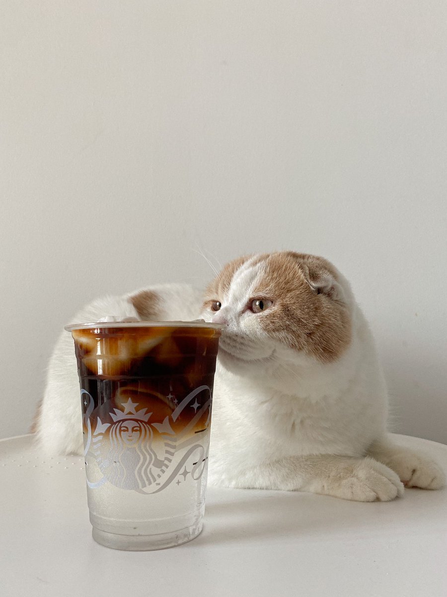 toastderr_'s tweet photo. โฮมคาเฟ่ อเมริกาโน่ โคโค่นัด ☕️🥥 https://t.co/4fPc1XYa5d