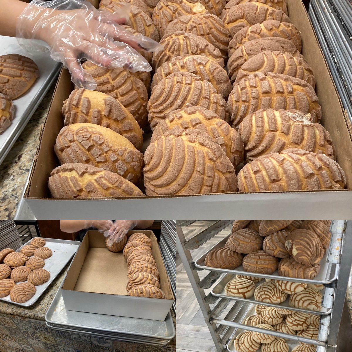 Ed Llamas (@ed_llamas) on Twitter photo When your SD is Mexican and loves Conchas more than Donuts #ConchaForLife <a href="/Jonathan_SYoung/">Jonathan Young</a> <a href="/JaxBackes/">Jackie Backes</a> @linmwheel When your SD is Mexican and loves Conchas more than Donuts #ConchaForLife <a href="/Jonathan_SYoung/">Jonathan Young</a> <a href="/JaxBackes/">Jackie Backes</a> @linmwheel