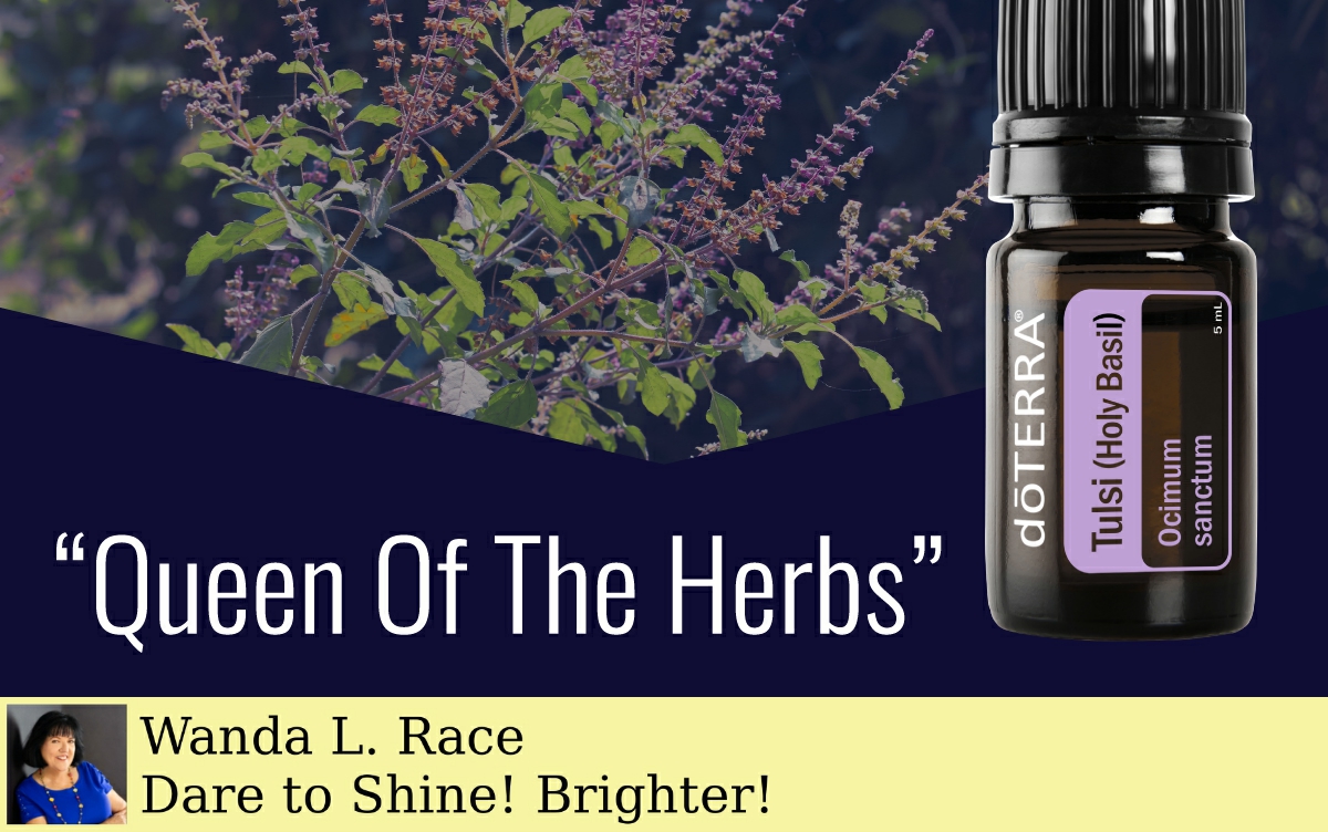 RaceWanda's tweet photo. Tulsi essential oil aroma resembles a cross between traditional Basil oil and Clove oil, with notes of Peppermint and licorice. Coming Soon! https://t.co/OlWq5xbHN9