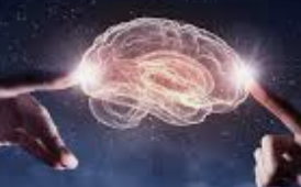 ecalixto's tweet photo. Tu cerebro es increíble y maravilloso, sigue su consejo: 
si algo es desagradable u ofensivo quítale lo más importante que desarrolla: 
TU ATENCIÓN. 

#NeuroTuit https://t.co/GkRYHNwYTZ