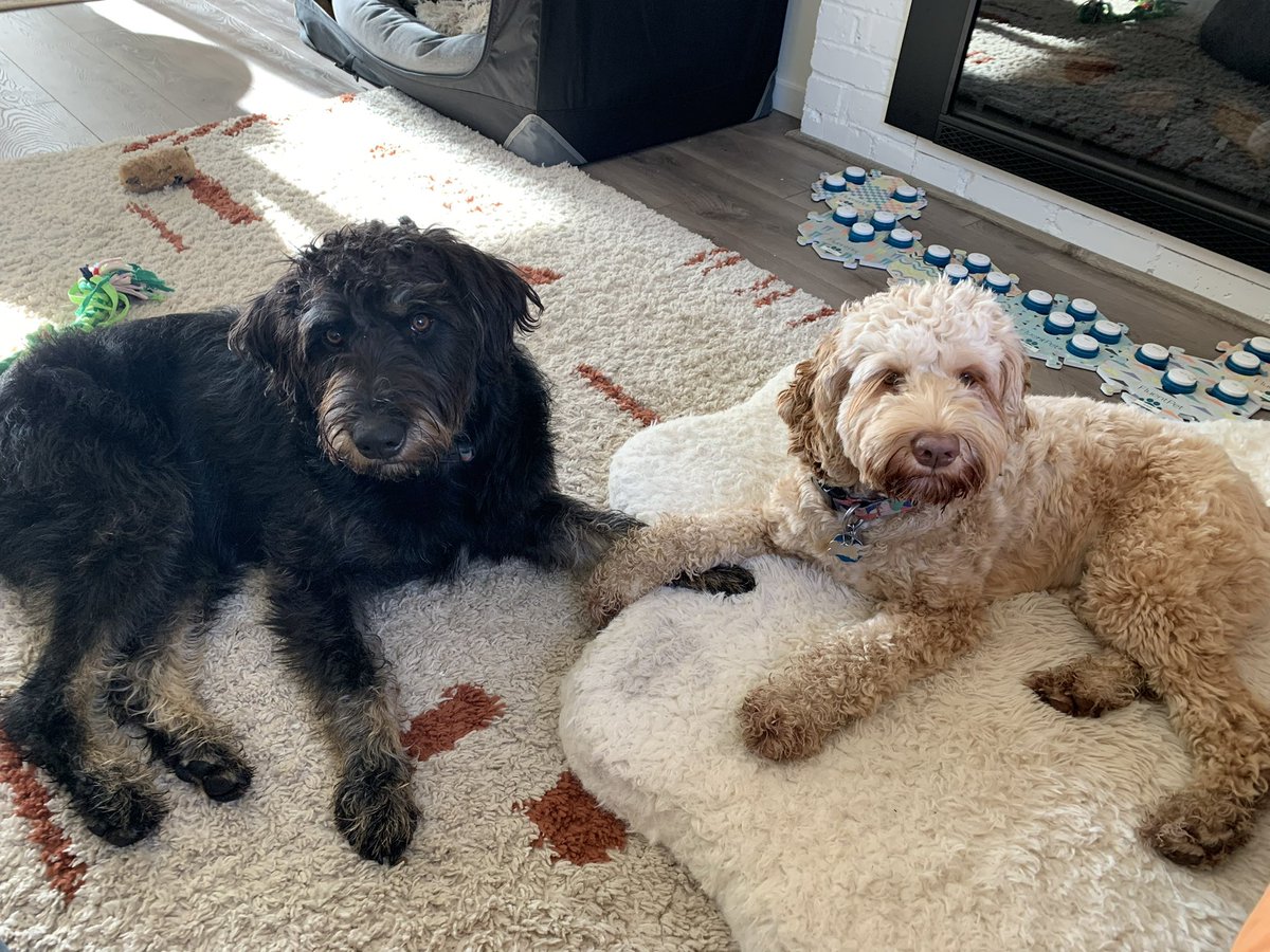 Sarah Klecker tweet media