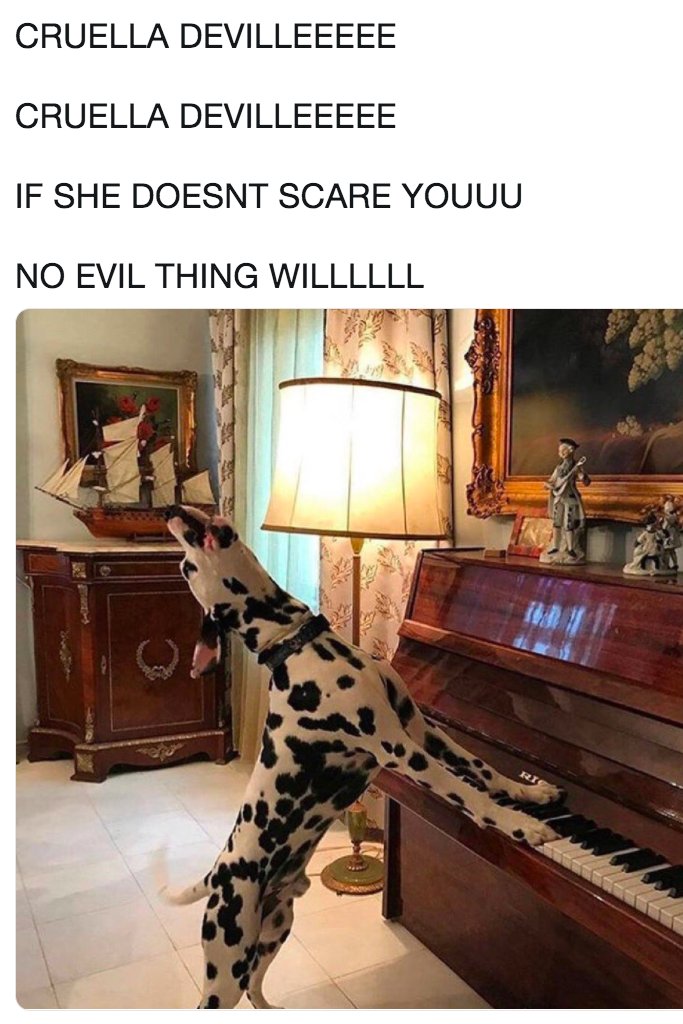 WholesomeMemes (@wholesomememe) on Twitter photo 