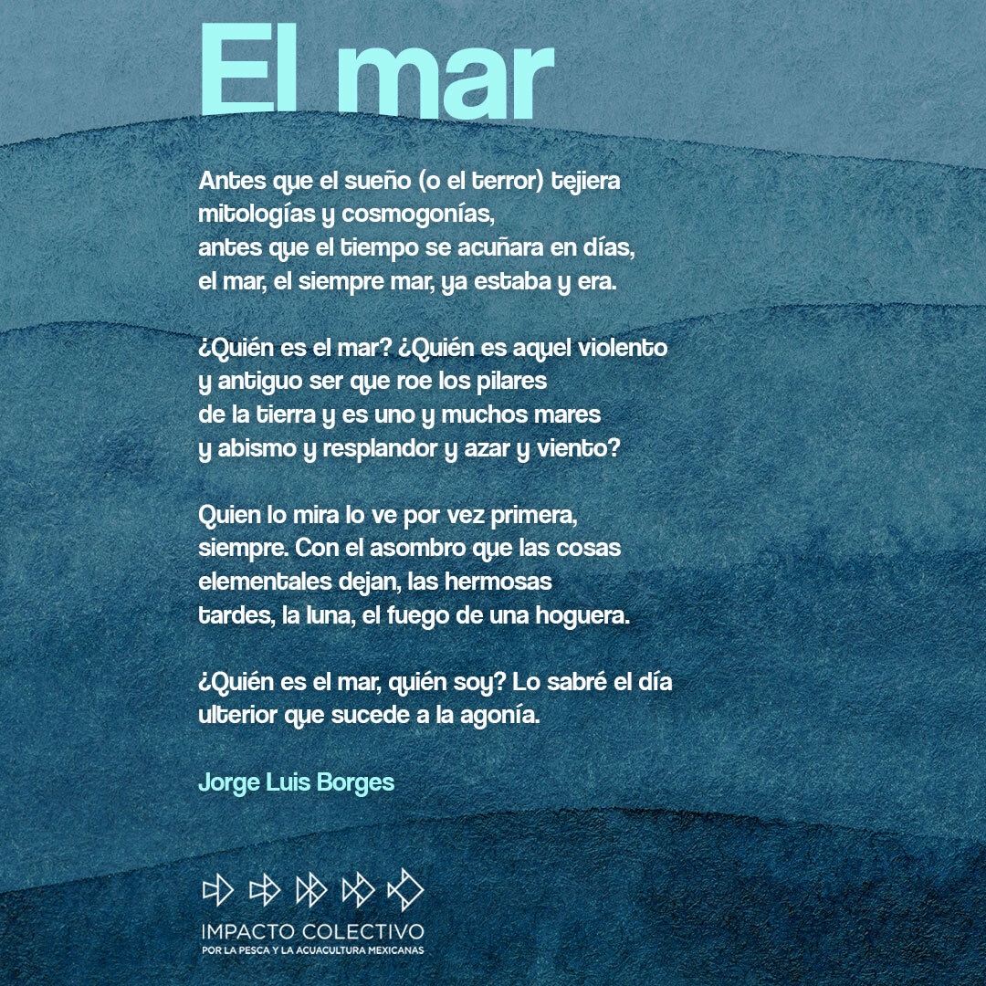 Quédate con quien te lleve/te traiga/hable del mar como lo hace Borges. #AmarElMar
