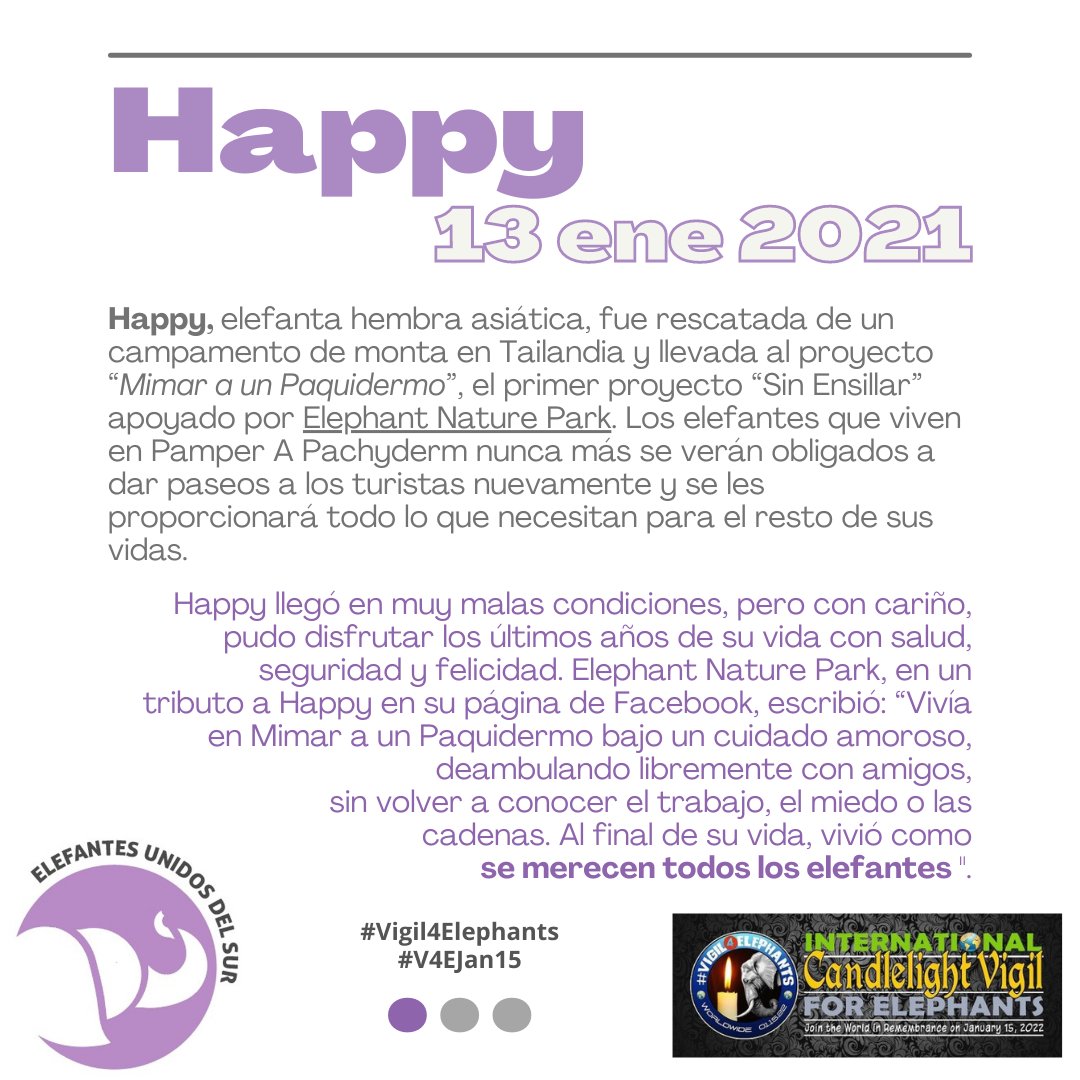 EUDS_Elefantes's tweet photo. HAPPY - 2021-01-13 – Tailandia

Vigilia por nuestros elefantes fallecidos en cautiverio o en Santuarios.
💜🐘🕯🐘💜

#Vigil4Elephants  #V4EJan15  #RIPHappy #Thailand #ENP #elephants #elephantsofinstagram #elephant #captivitykills
@ElephantNatureP https://t.co/tjjtfjgFk9
