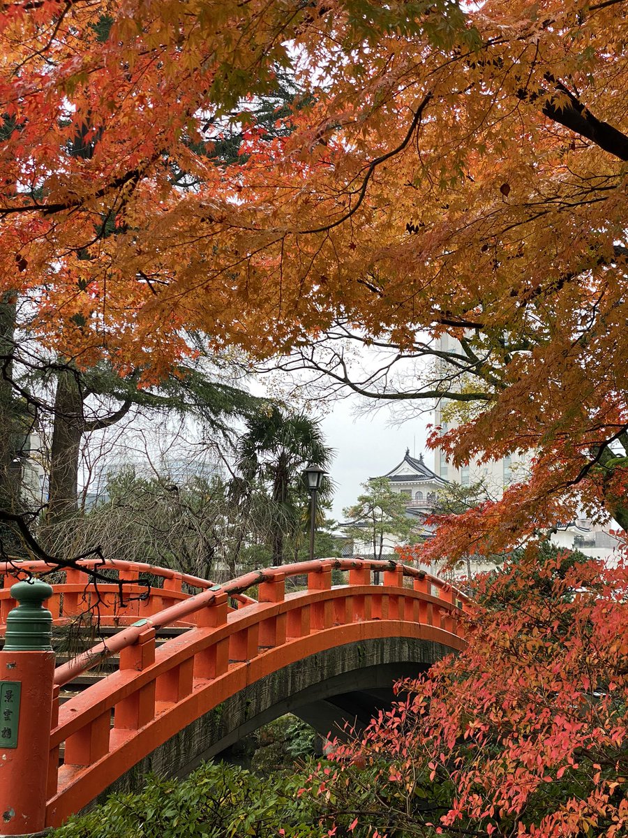 hattam's tweet photo. 先日のブラタモリでも紹介された富山城址公園の短い秋。 https://t.co/MzPBK2hULv