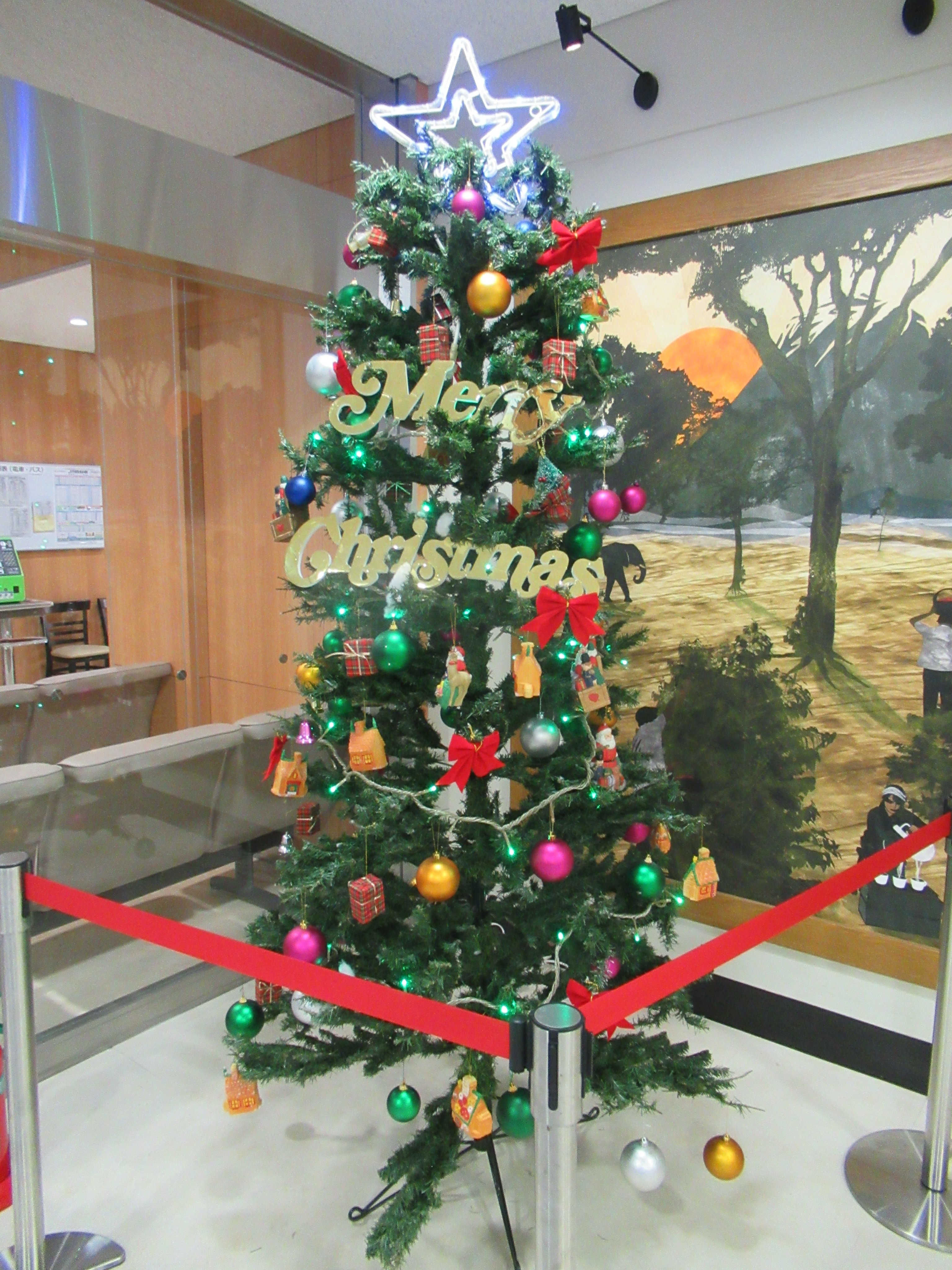 秋田大学医学部附属病院 看護部 広報 病院内にもクリスマス ツリー イルミネーションが設置されています 患者さん ご家族 医療従事者の心を癒してくれます ハッピーメリークリスマス ハッピーニューイヤー 大学病院 病院 秋田大学 クリスマス