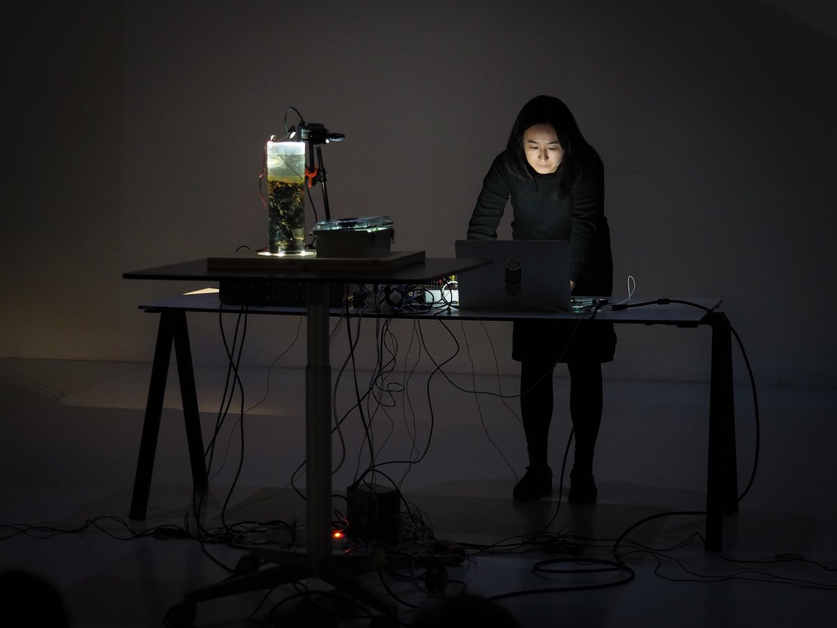 <a href="/Sabina_Ahn/">Hyoju Sabina Ahn</a> 자연에 존재하지만 눈으로는 보이지 않는 숨겨진 패턴이나, 규칙등을 찾는 것에 흥미가 많고 죽음과 생명, 에너지의 순환과 다양한 변환에 대해 고민한다.