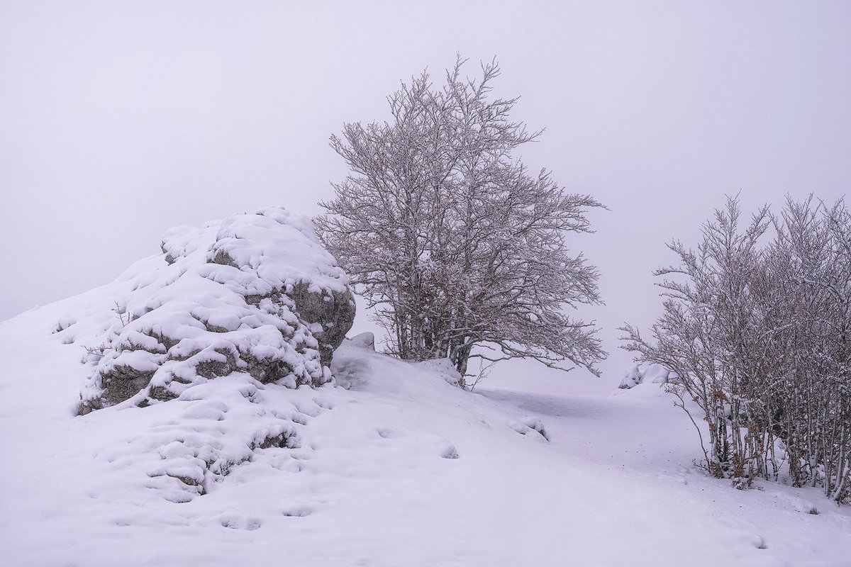 EfrenVPhoto's tweet photo. 🌲“El futuro nos tortura y el pasado nos encadena. He ahí por qué se nos escapa el presente.”❄️
 -Gustave Flaubert.

#fineart #welifetoexplore 
#thephotographicprint #artforyourhome #winter #fineartphotography #zcreators #createyourlight #art #fineart #snowday https://t.co/lTrRsuf6Kt