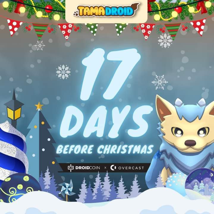 wearedrdc's tweet photo. Candle of dreams lively kindles.
Waxes melt – flame may wiggles.
But its lucid wisdom lasts forever.
So do we – we'll never waver.
#christmascountdown #Droid #TAMADROID #NFTGame #nft #DRDC #BSC #BSCGem #PlayToEarn
Please Like & Share ⬇️https://t.co/4ZsDCP4vNI https://t.co/m3UQKpX2yW