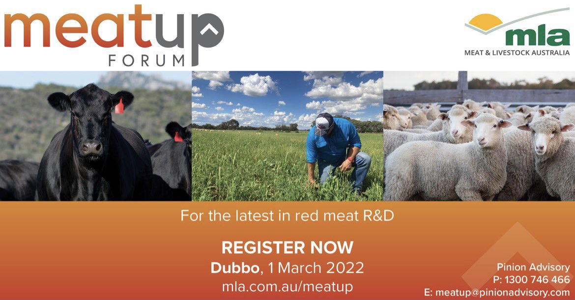PinionAdvisory's tweet photo. Register now for the MLA Meatup Forum at Dubbo, 1 March 2022. View the newly released program &amp; full details of MeatUp Dubbo here https://t.co/XWXPh78Um7. @meatlivestock https://t.co/wdlSwXja8H