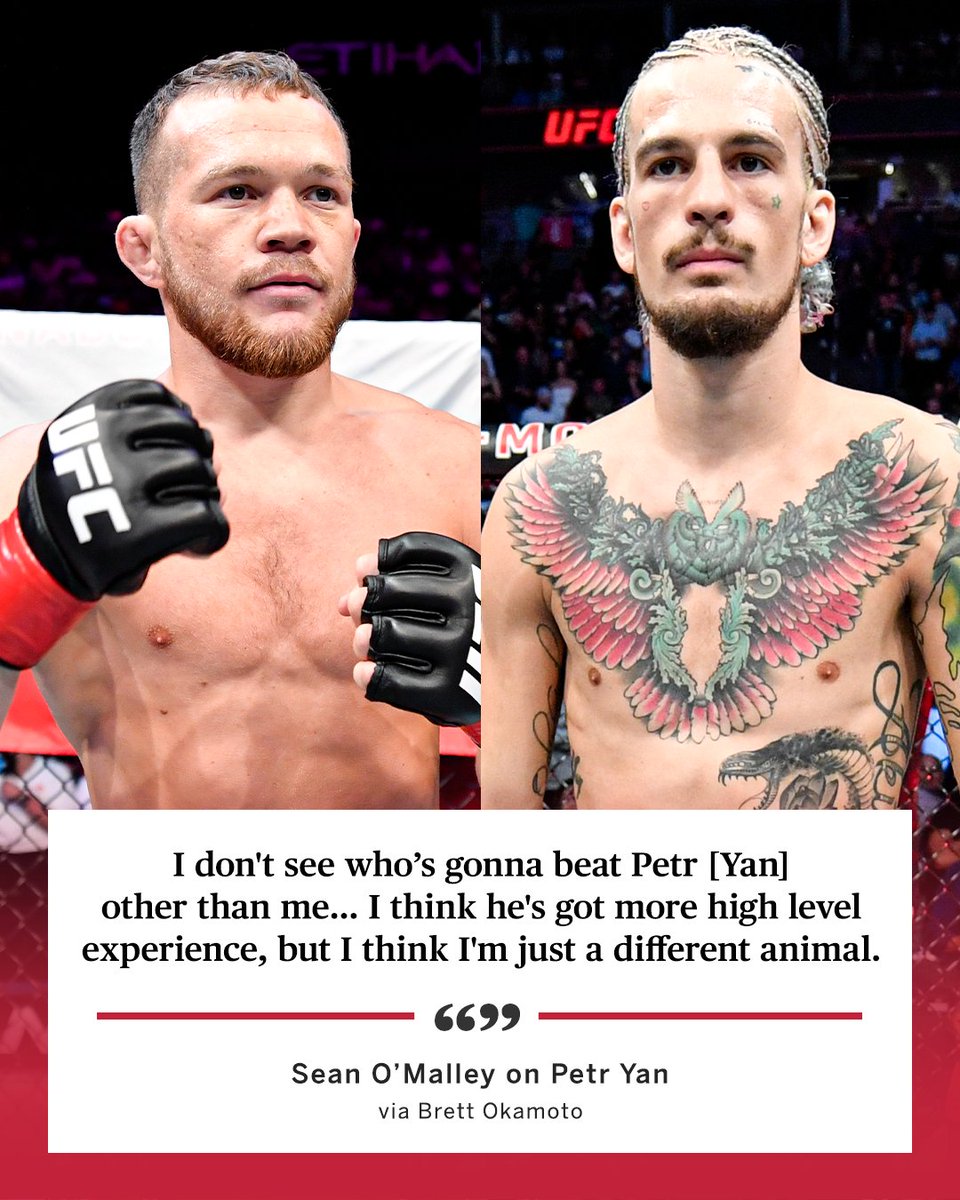 espnmma's tweet photo. O'Malley respects the interim bantamweight champ, but believes he can solve the puzzle 🧩 #UFC269 

(via @bokamotoESPN) https://t.co/4574Pgc1Uf