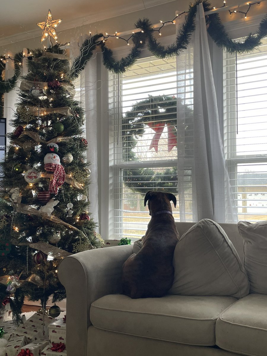 brittneyjolynn's tweet photo. @chelseaperetti @chriistianeee Mabel 🤎 https://t.co/Nf9U9c2wuH