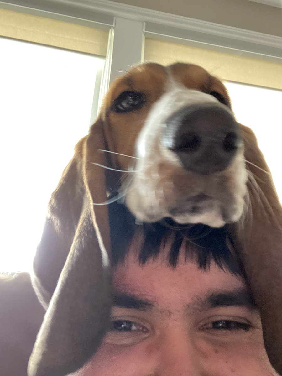 MrsLucy21's tweet photo. My head is too heavy.  Had to ask my brother to hold it up for me. https://t.co/Llqy9Y5PrB