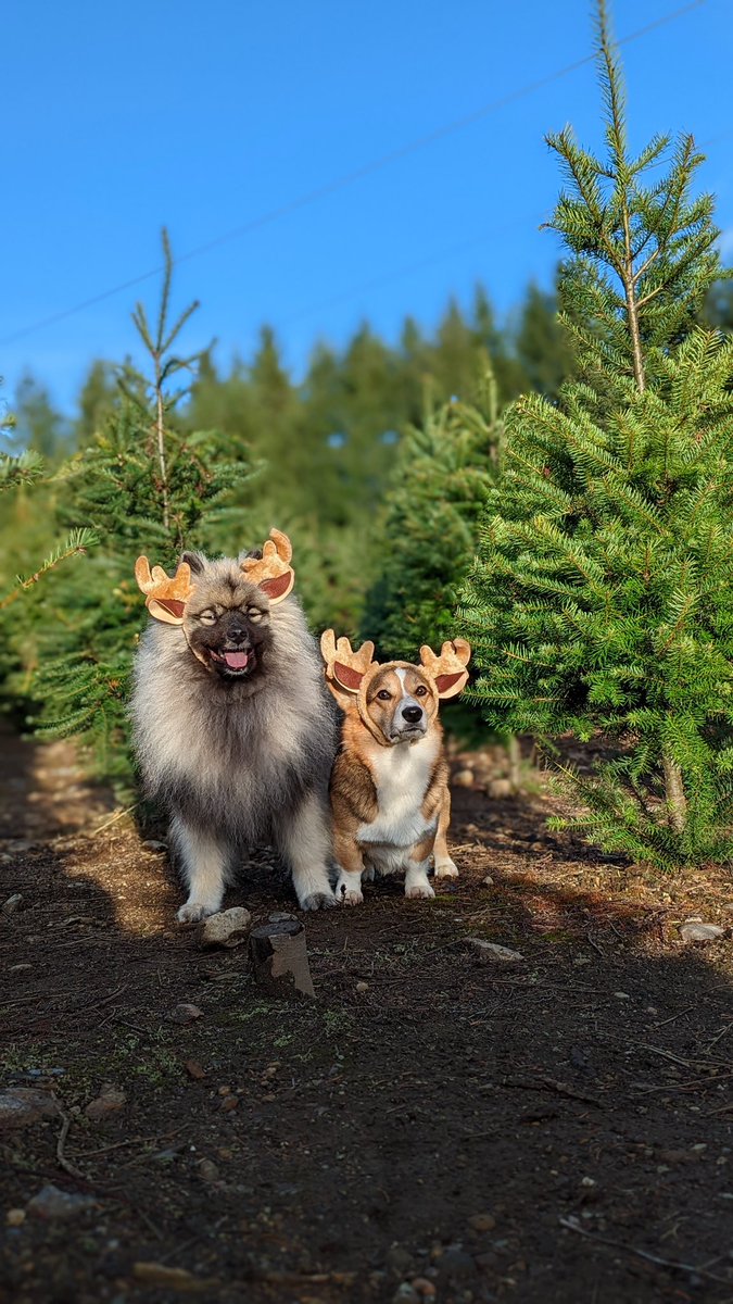 PAVGOD's tweet photo. Pavlov and Maslow reaction when they hear you’re joining our SPACES right now 😱😱😱😱

https://t.co/CqTMKGImFs https://t.co/r342TiiEJB