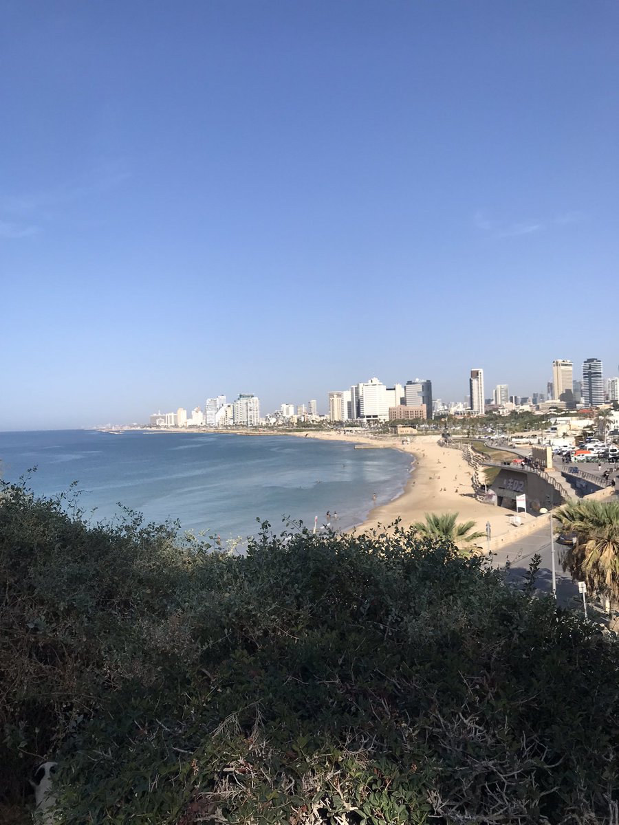 LuMoschel's tweet photo. Mi corazón? En Israel obvio 🤍🇮🇱 https://t.co/MyOfeUldCM