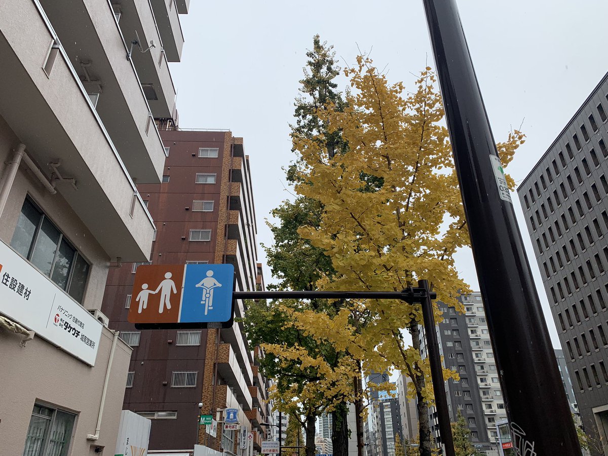 psq_programming's tweet photo. 五反田は☔️雨☔️
今日も元気に学びを届けてまいります(＾ｰ^)
宜しくお願い致します💻🖥

#プログラミング  #ロボット #マインクラフト #lego #五反田 #psqsmalltrain #国語 #算数 #理解 #社会 https://t.co/YUR2gPXJZW