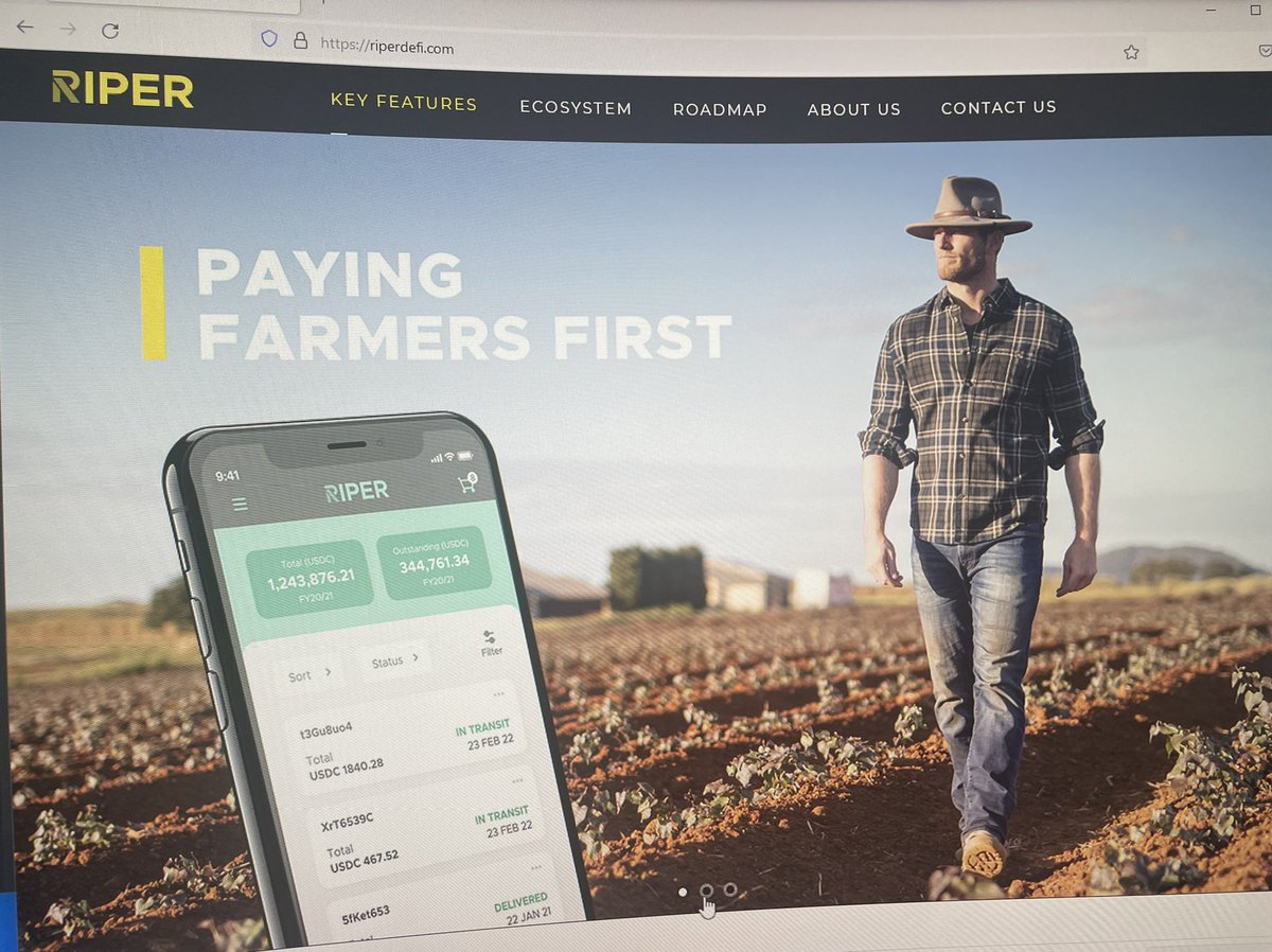 ghostpulse_io's tweet photo. After doing my own research, i found that @cropcollectnft is actually backed by a crazy #rockSolid looking project @RiperDeFi. Letβs get our #elongators together and show them #love tomorrow and ask questions! @elongateog #ELONGATE #NFT #charity #innovation #technology https://t.co/iv8OO7GBFS
