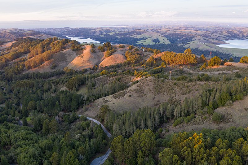 CALPELRA's tweet photo. East Bay Municipal Utility District posted an opening - Manager of Employee Relations - on CALPELRA's Job Board.
#PublicSectorJobs #HRJobs #EmployeeRelationsJobs #ManagerEmployeeRelations
https://t.co/GbvntfQgAM https://t.co/uJCYK7k2bh