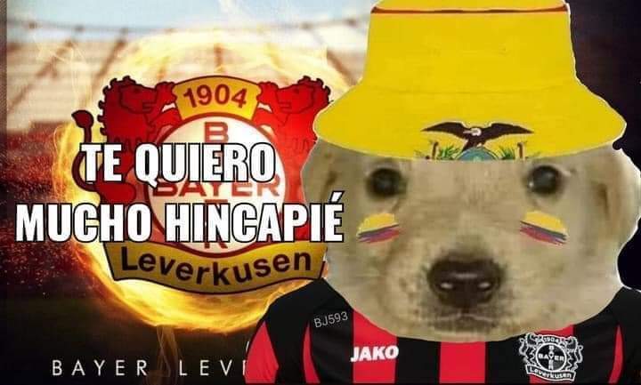 CabelloCeli's tweet photo. @bayer04_es https://t.co/8nktoGMeHX