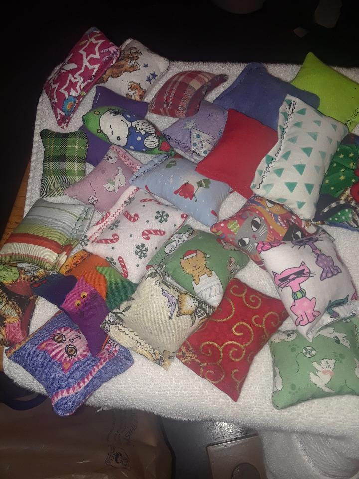 Do you know of any kitties that are needing something for their stockings?  
We are offering our famous catnip toys for sale. 
5 of the small size toys or for $5.00 which covers postage.
Email Barbara at .. catshavenltd@sbcglobal.net to order.