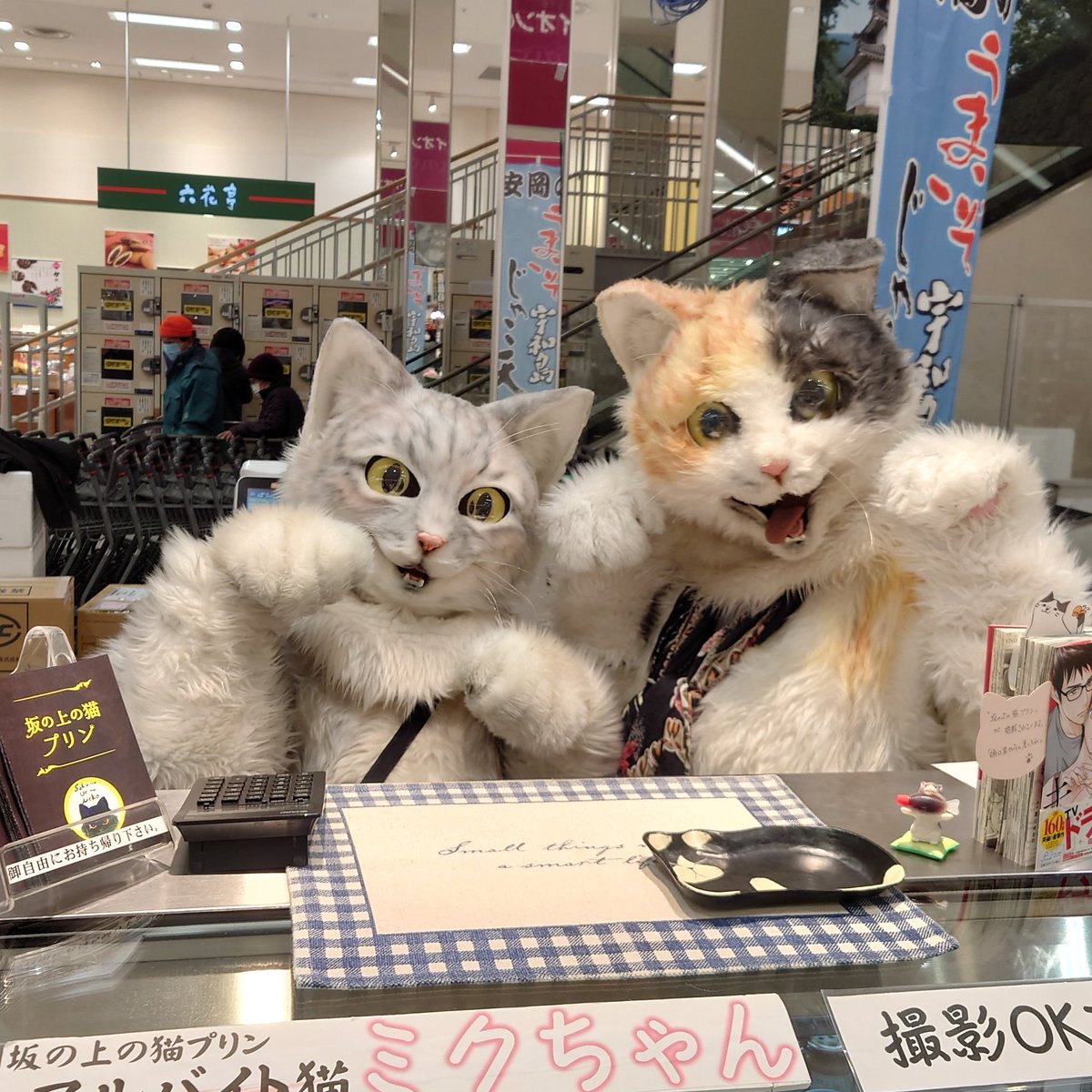 プリン専門店 坂の上の猫 源田 晃一 公式 おはようございます 無事に松山に帰りました 初めての北海道出店 走行距離は3 950キロでしたー また行けるといいなぁ 北海道 旭川の皆様には大変お世話になりました ｪ 坂の上の 猫プリン