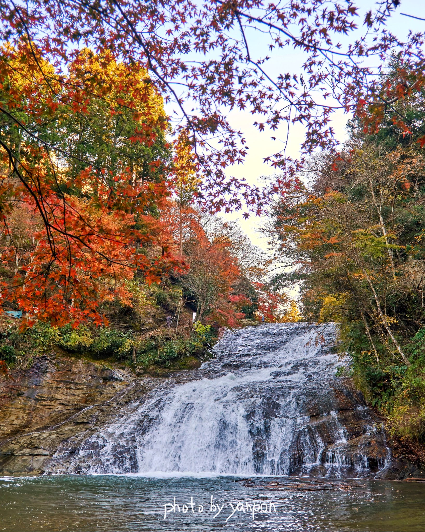 房総でハワイ気分 大多喜町 粟又の滝 紅葉ばっかで失礼します 紅葉の粟又の滝 養老渓谷のメインスポット粟又の滝 久々に行くと結構凄いと感動する場所である 2112 撮影 房総の絶景 房総 千葉 絶景 粟又の滝 養老渓谷 紅葉 T Co
