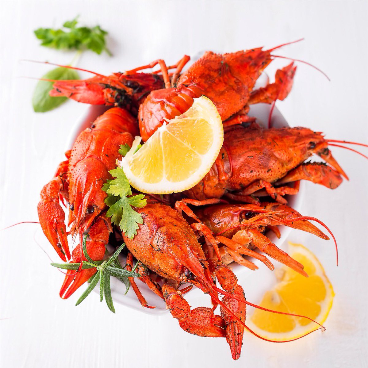 Celebrate Christmas with something different, a treat for you and your loved ones.

Japanese Kaiseki is a 6-course meal originally presented to the noble classes prepared with excellence to ensure quality. In Yoshi Izakaya, we strive to give the best service and food.