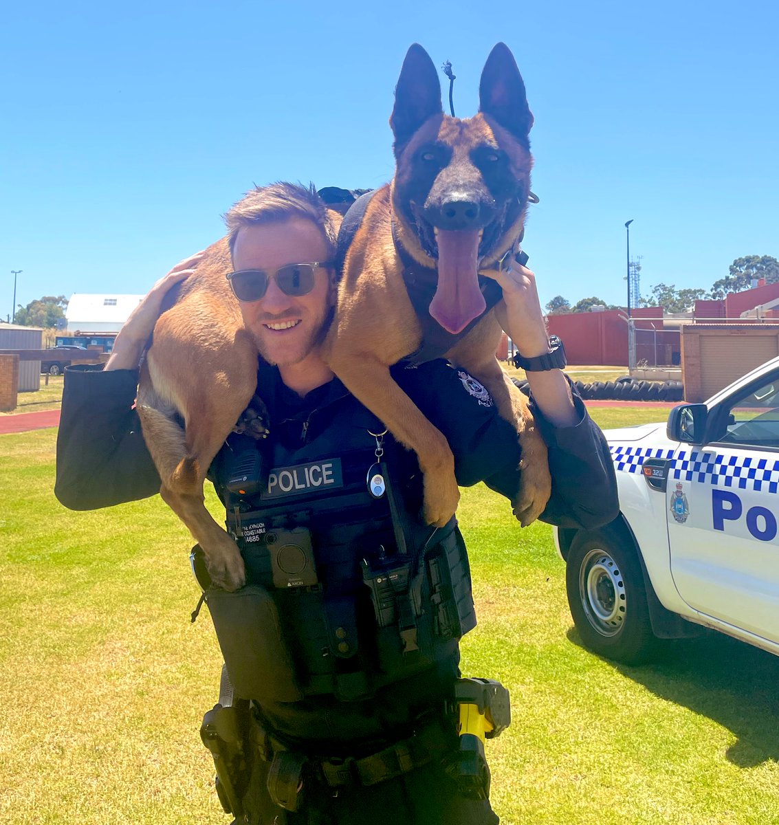 WAPoliceCanine tweet media