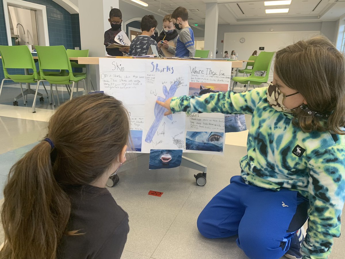 r_witmer's tweet photo. Welcome to the Second Grade Expert Museum!  We read across texts on a single topic to grow new knowledge.  Today, we taught others! #greenacrespride https://t.co/D5O5VGR7Wv