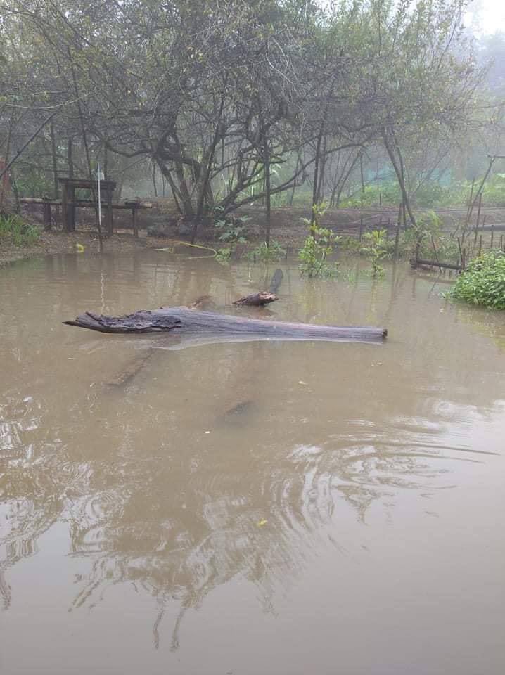 katycho22222's tweet photo. IDPs (Internally Displaced Persons) from #Mindat Township are being relocated again due to torrential rains in the winter of Chin State.
#EndImpunity
#WhatsHappeningInMyanmar
#Dec8Coup
#HelpMindat https://t.co/NyUY4mYGUP