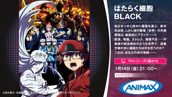アニマックス 公式 Animax Japan Page 2 Twilog アニマックス 公式 Animax Japan Page 2 Twilog