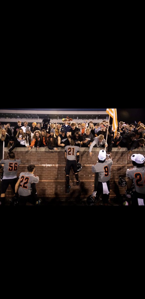 Carson Whitehead tweet media