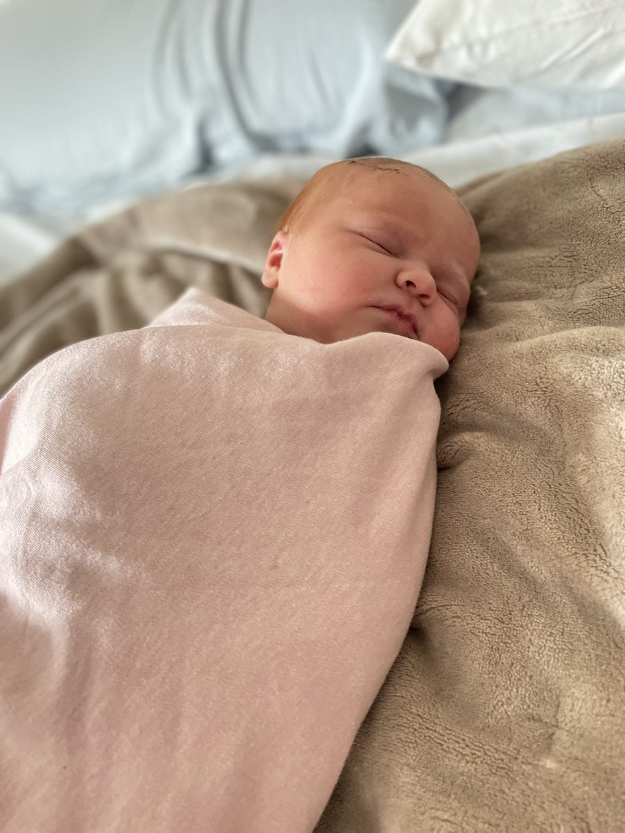 Dr Imogen Bell tweet media