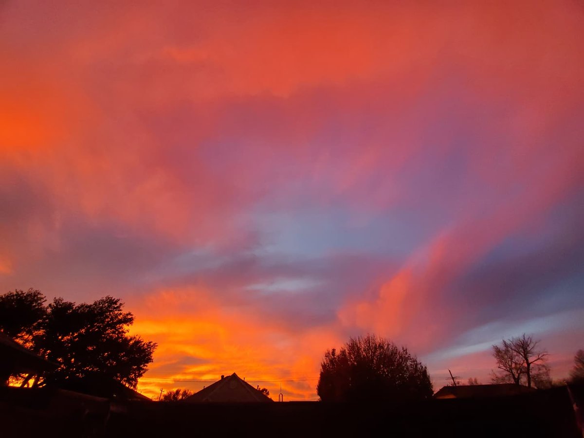 Grapevine Chamber tweet media