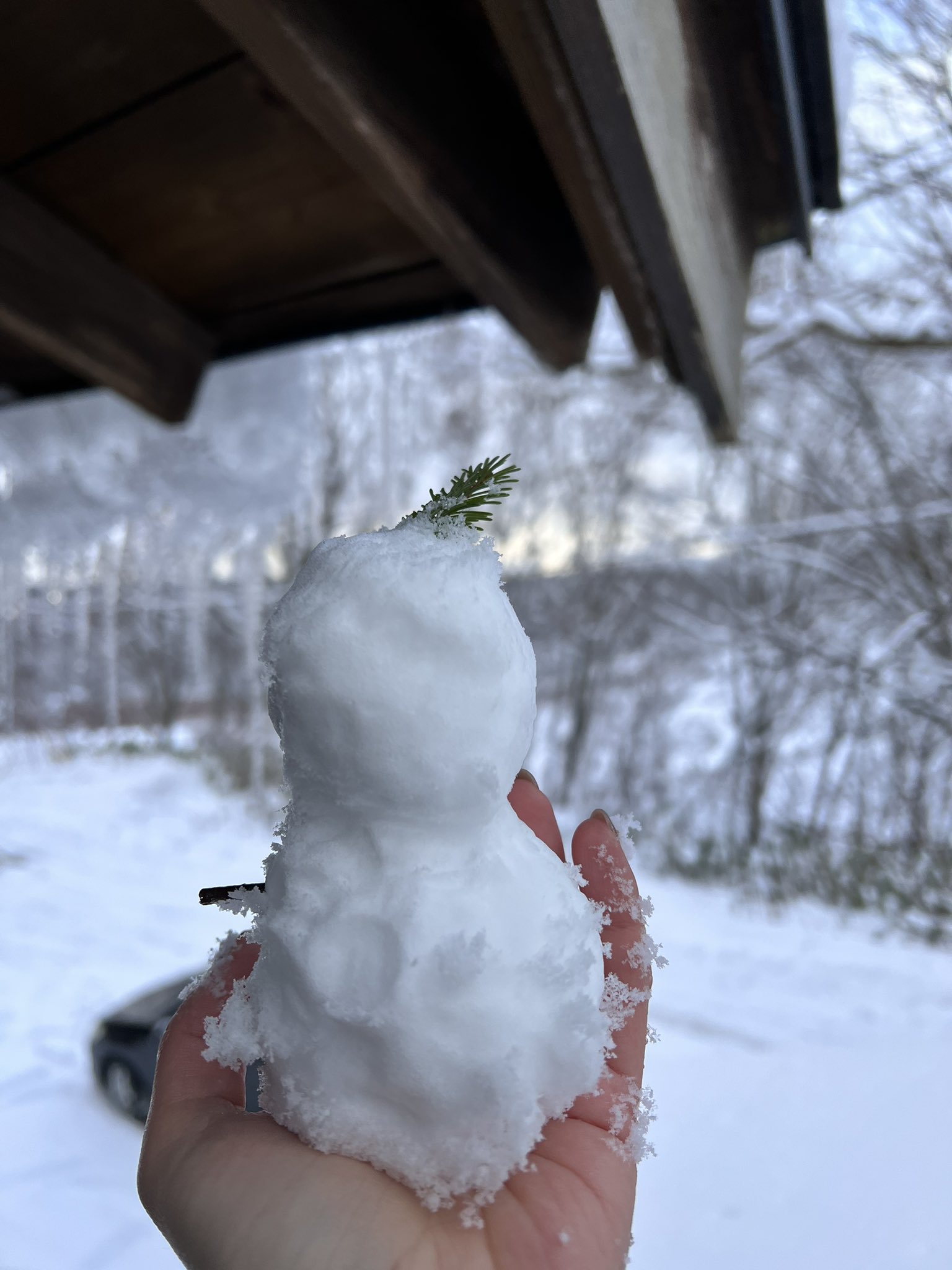 沖縄に移住したぴきちん 誰か可愛い雪だるまの作り方教えてください センスがなくて可愛いの作れません T Co Ufyng4jide Twitter