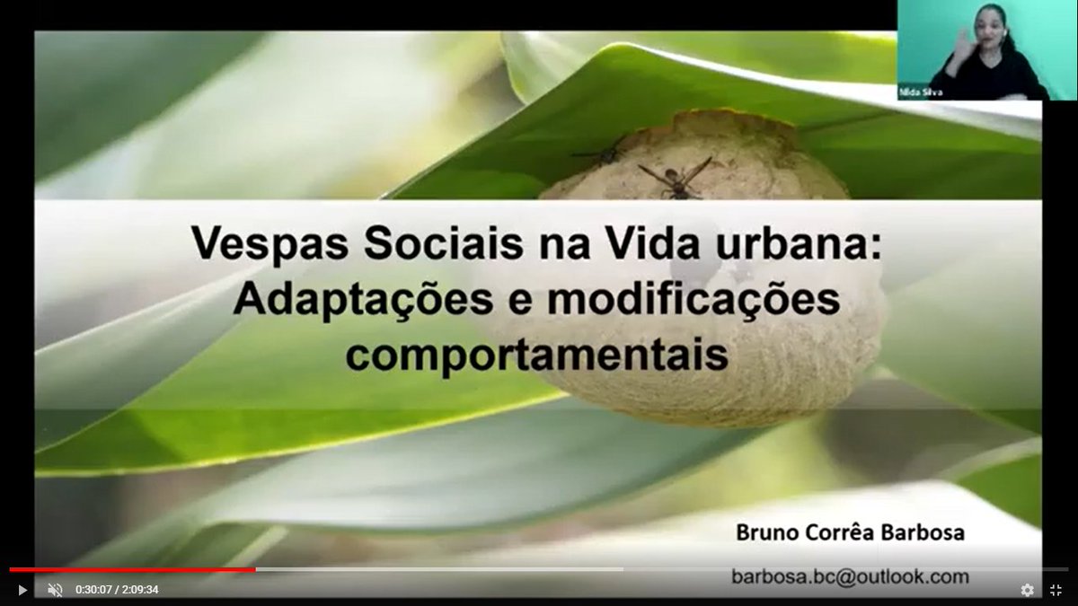 vworkshopiussi's tweet photo. The round table/mesa redonda: Vespas Sociais Neotropicais: Aspectos Básicos e Aplicados
Fábio Nascimento/ Fabio Prezoto 
Alexandre Somavilla/ Bruno Corrêa Barbosa
is available on YT: https://t.co/xQrNNvbzVq
@secbras @InsSociaux #vworkhopiussi #InsetoSociasiEmRede2021 https://t.co/8UcSVy00sB