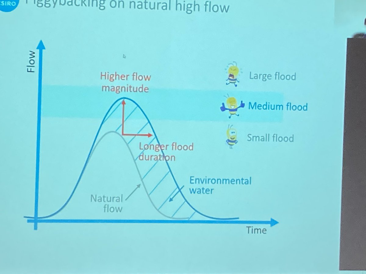 FiJohnsonWater's tweet photo. We don’t want sad bees! Dr Seline Ng talking about forecasting for piggybacking environmental flows #modsim2021 https://t.co/NOGMLzo0II