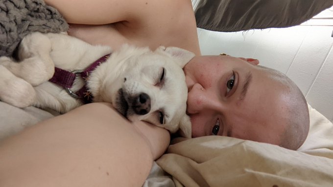 Lazy mornings are the best.  Findom https://t.co/PwAFmrp8yA<a href="/tag/trans"class="tags"><span>#trans</span></a>