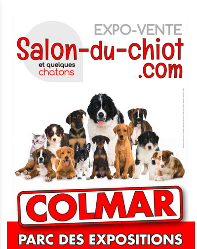 ericstraumann's tweet photo. Les #chiots ne sont pas des jouets ! 
Je proposerai lors du renouvellement de la délégation de service public du parc des expositions￼ de Colmar l’interdiction de la vente en foire d’animaux de compagnie. #dna #afp #spa #salonduchiot https://t.co/YB5ZCfc8iL
