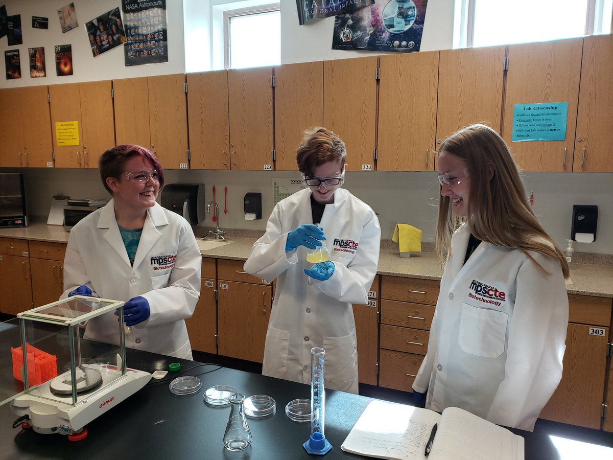 We love lab, yes we do, we love lab, how 'bout you?